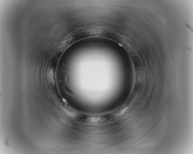X0000096420575200801241319