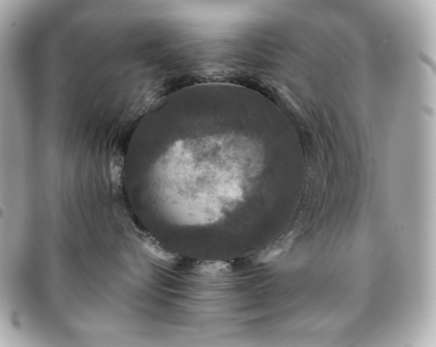 X0000096420576200801241319