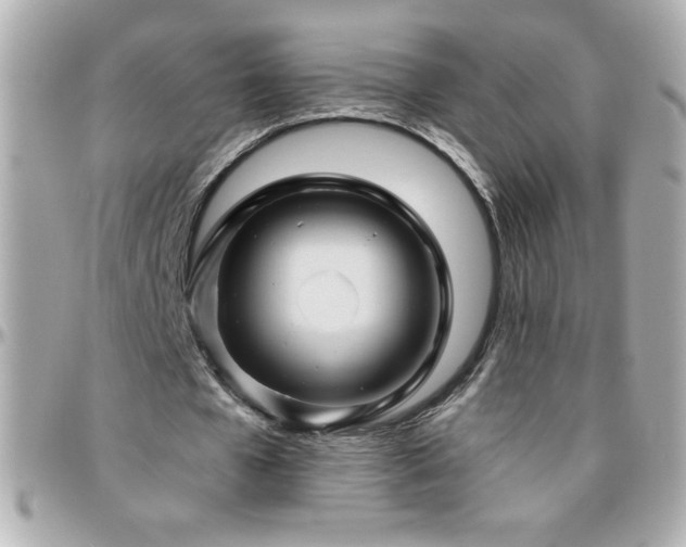X0000096420577200801241319