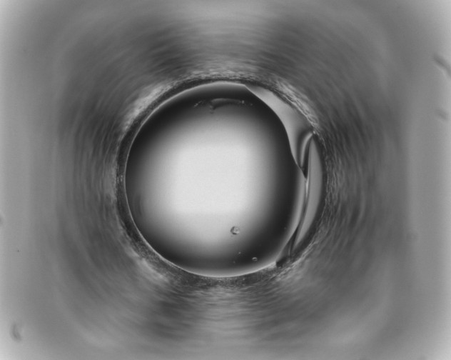 X0000096420578200801241319