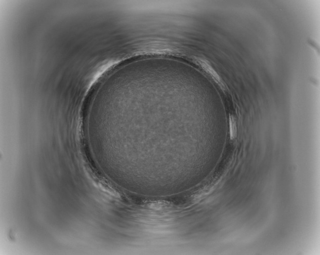 X0000096420579200801241319