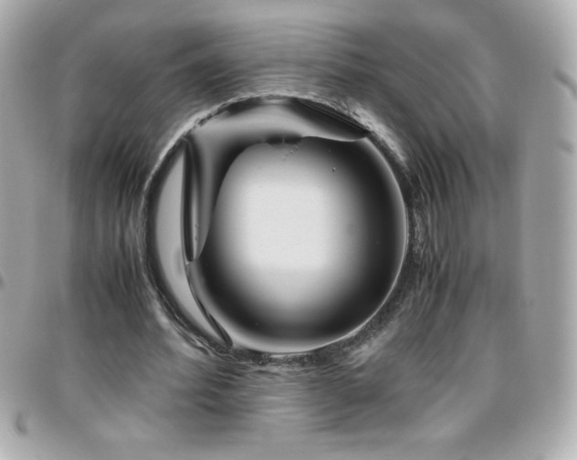 X0000096420580200801241319