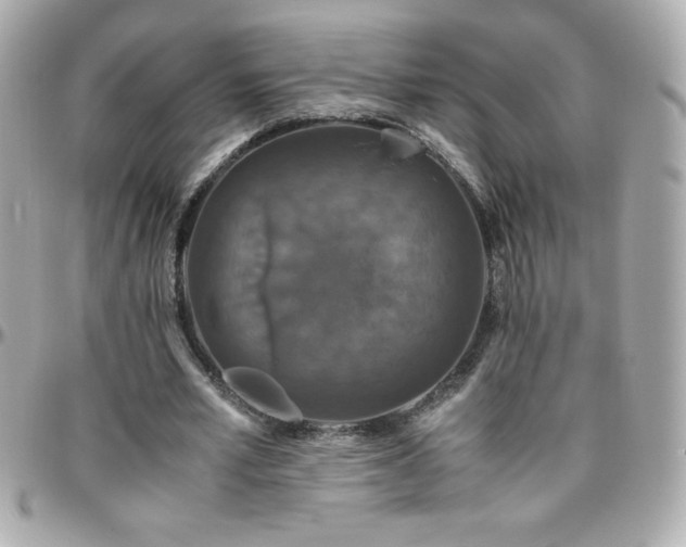 X0000096420581200801241319