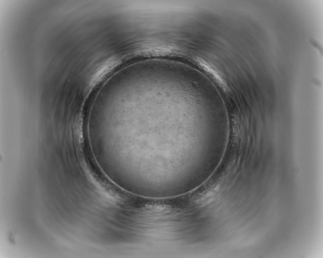 X0000096420582200801241319