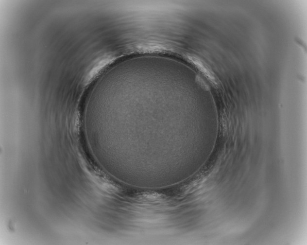 X0000096420583200801241319
