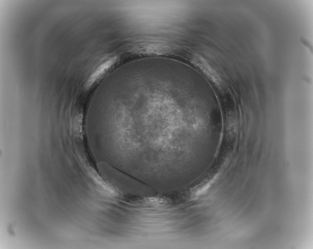 X0000096420585200801241319