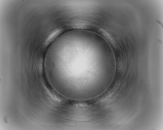 X0000096420586200801241319