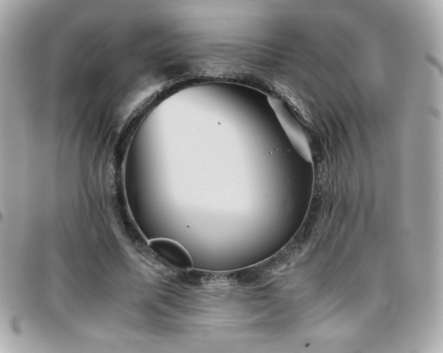 X0000096420587200801241319