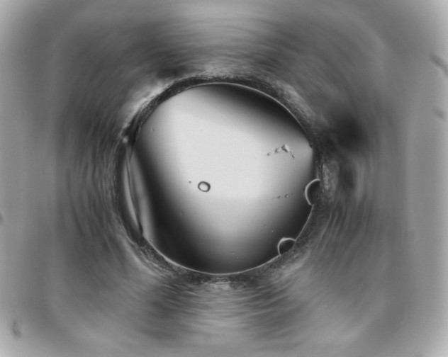X0000096420588200801241319