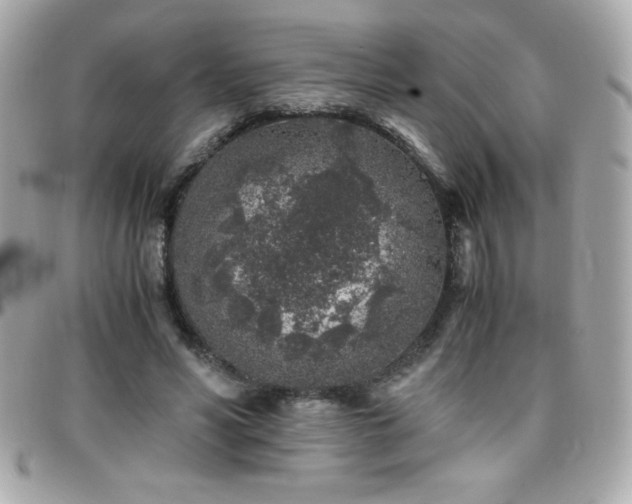 X0000096420590200801241318