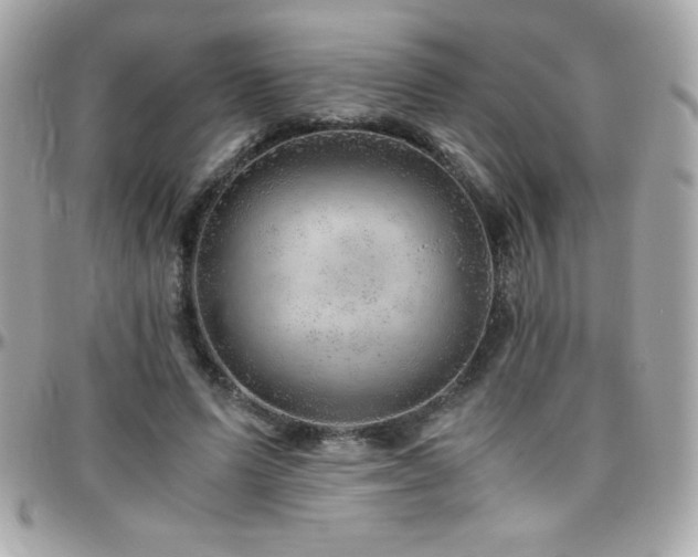 X0000096420591200801241318