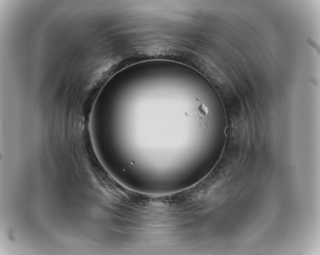 X0000096420592200801241318