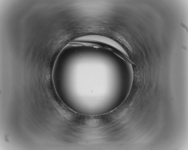 X0000096420593200801241318