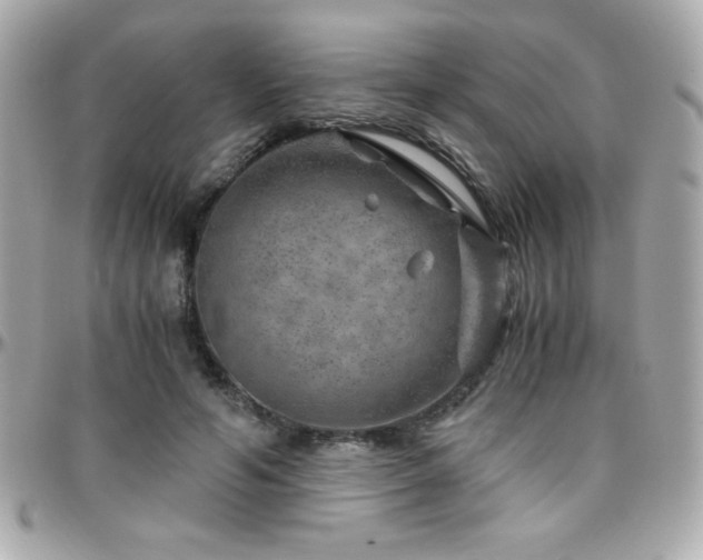 X0000096420594200801241318