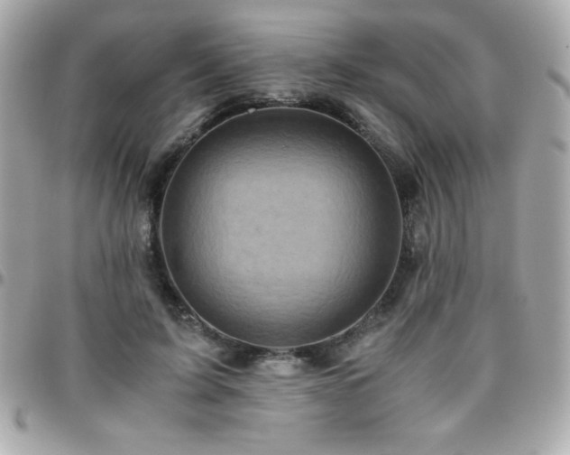 X0000096420595200801241318