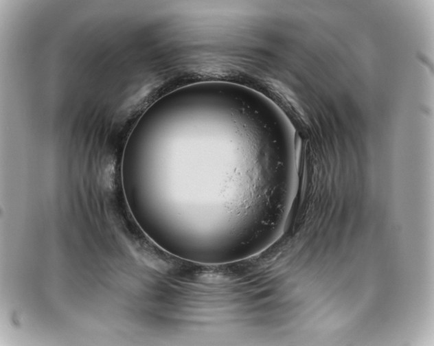X0000096420596200801241318