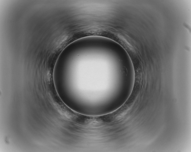 X0000096420597200801241318