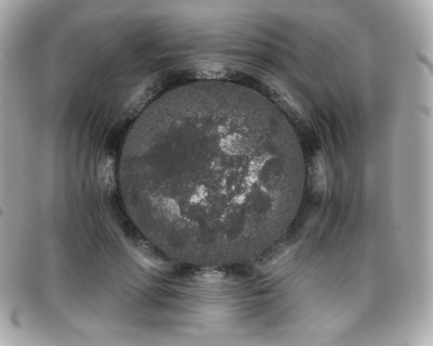 X0000096420598200801241318