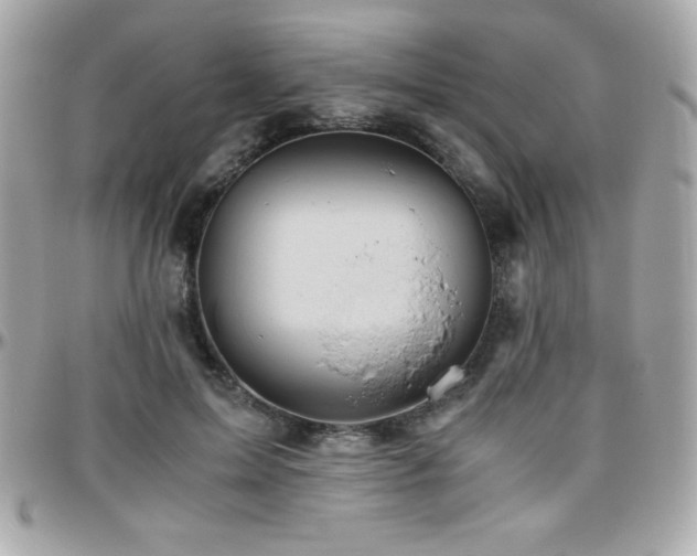 X0000096420599200801241318