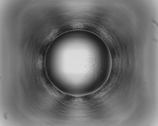 X0000096420600200801241318