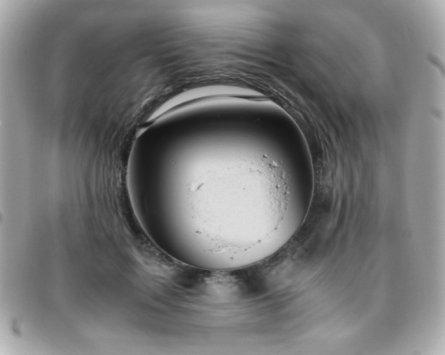 X0000096420603200801241318