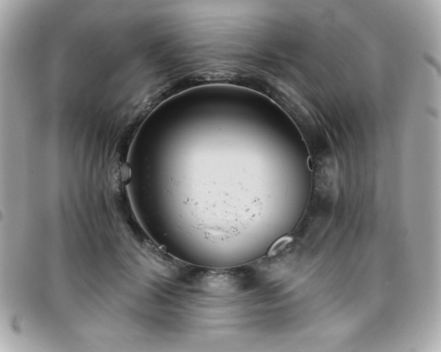 X0000096420604200801241318