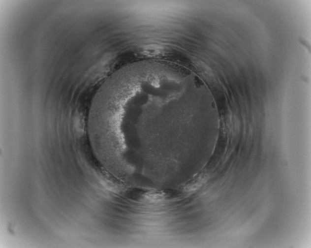 X0000096420606200801241318