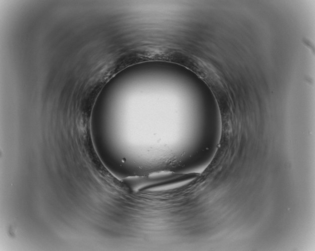 X0000096420607200801241318