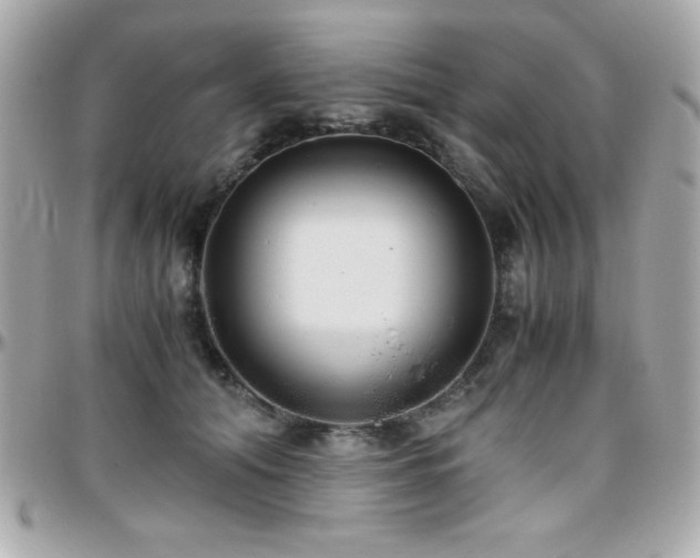 X0000096420608200801241318
