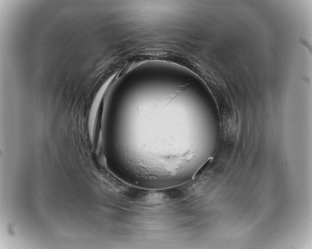X0000096420609200801241318