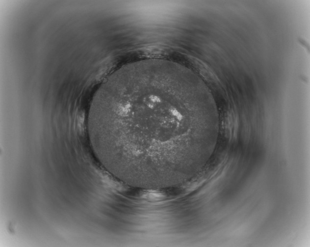 X0000096420610200801241318