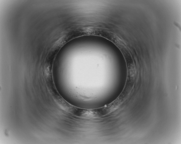 X0000096420611200801241318