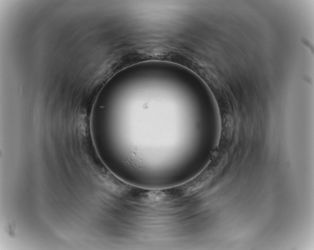 X0000096420612200801241318