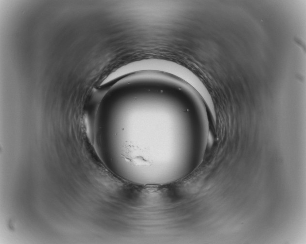 X0000096420613200801241318