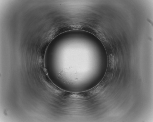 X0000096420614200801241318