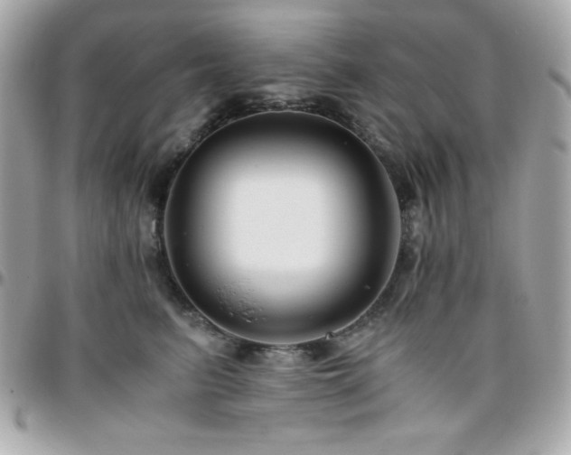 X0000096420615200801241318