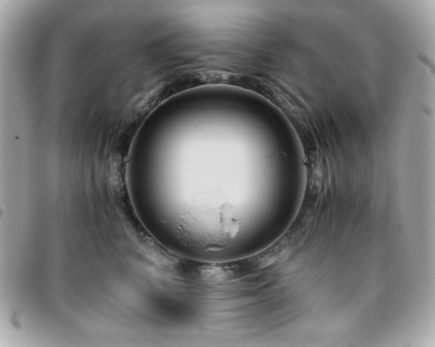 X0000096420616200801241318