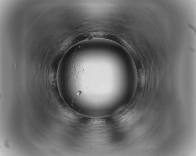 X0000096420619200801241318