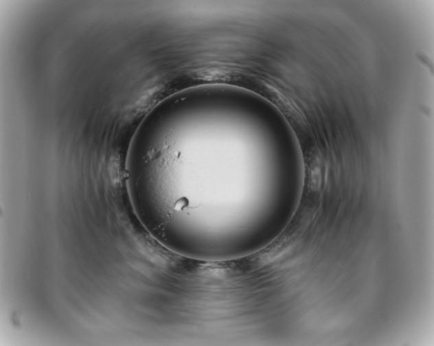 X0000096420620200801241318