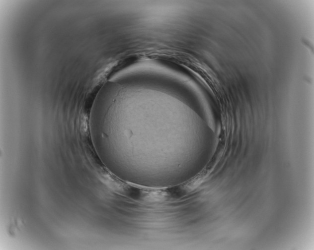 X0000096420621200801241318
