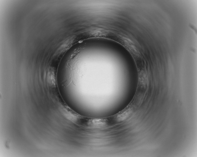 X0000096420622200801241318