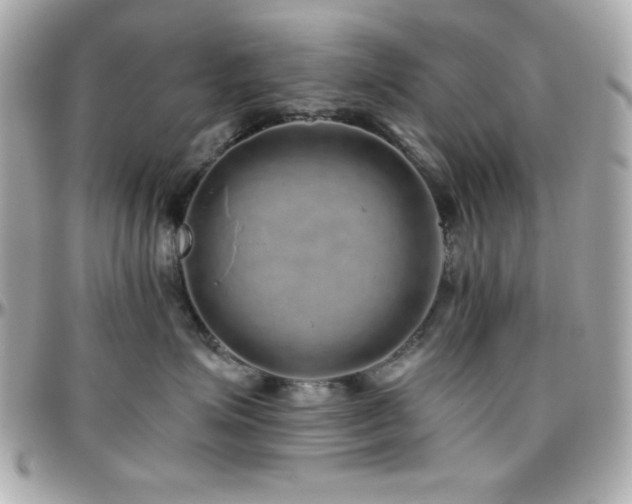 X0000096420623200801241318