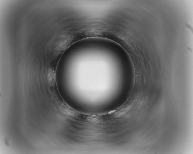 X0000096420624200801241318