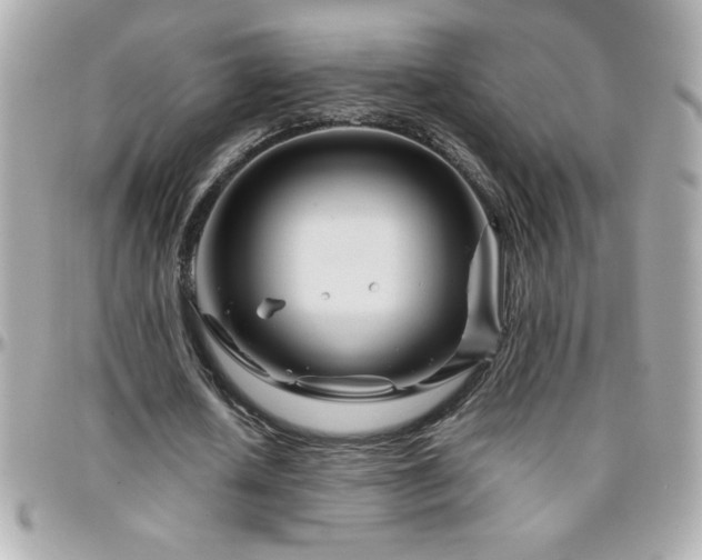 X0000096420626200801241317