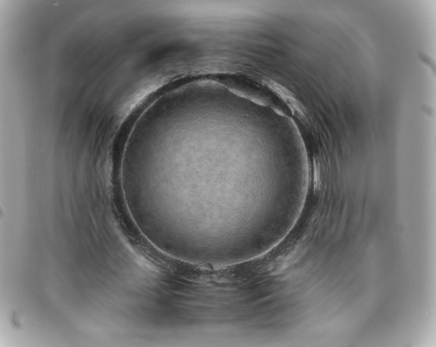 X0000096420627200801241317