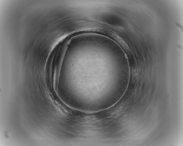 X0000096420628200801241317