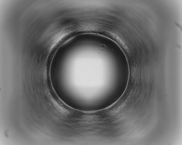 X0000096420629200801241317