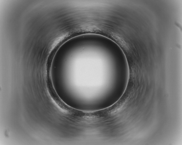 X0000096420630200801241317