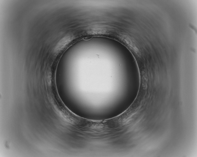 X0000096420631200801241317