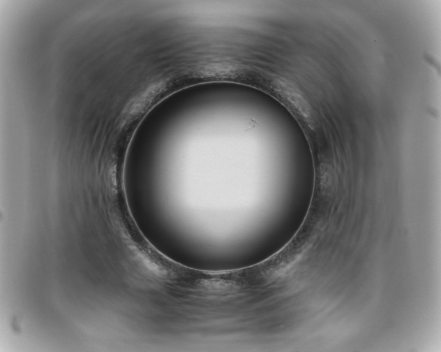 X0000096420633200801241317
